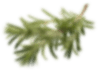 Xưởng Hòa Phát