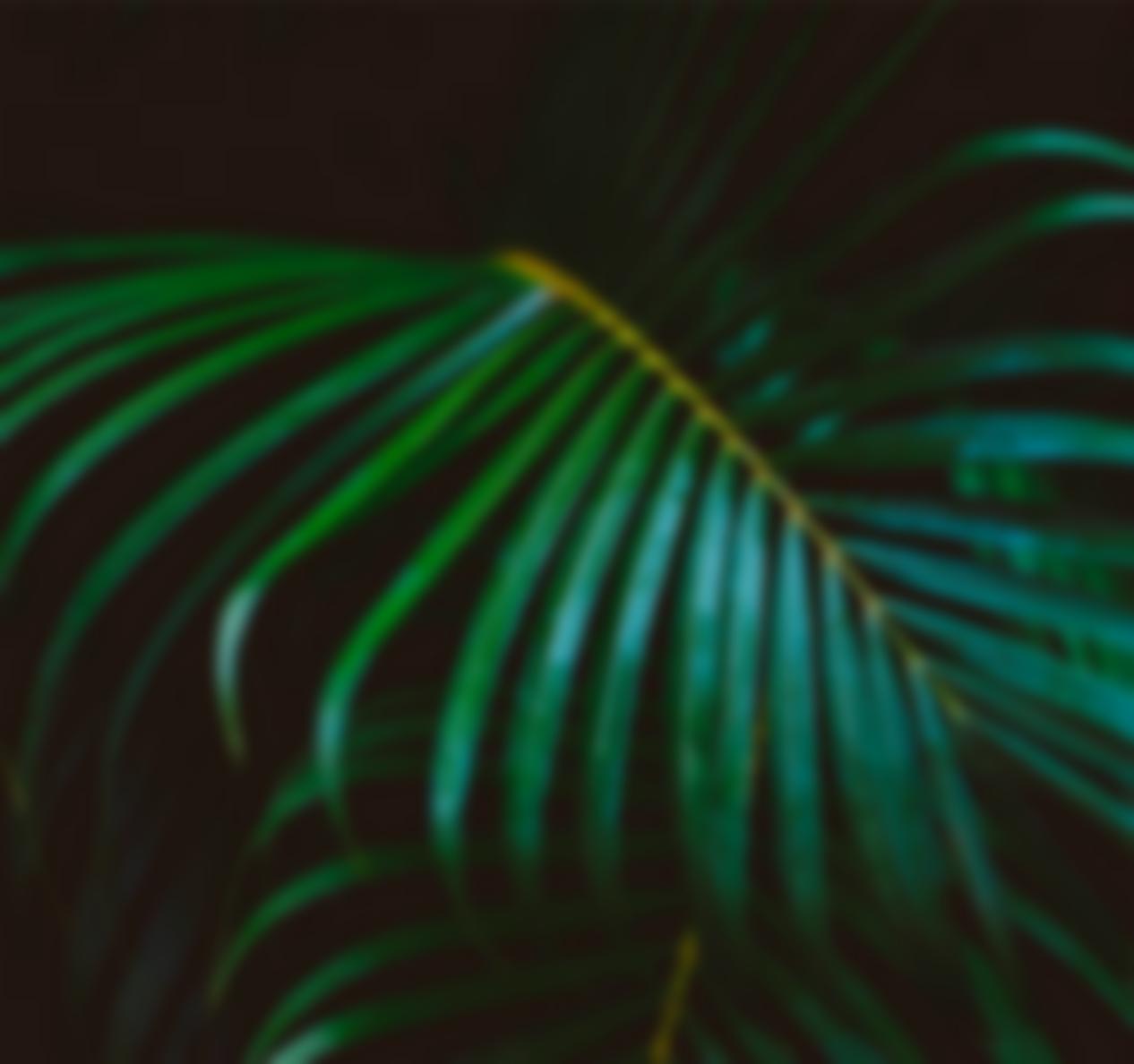 Xưởng Hòa Phát