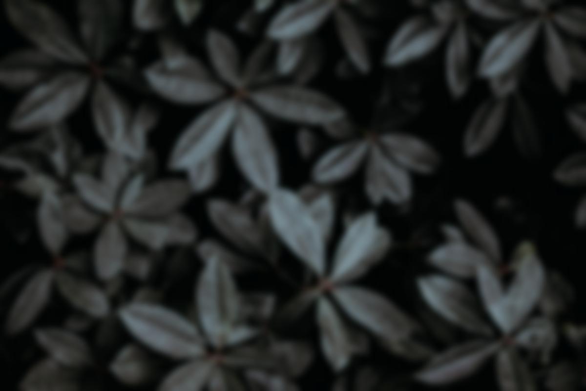 Xưởng Hòa Phát