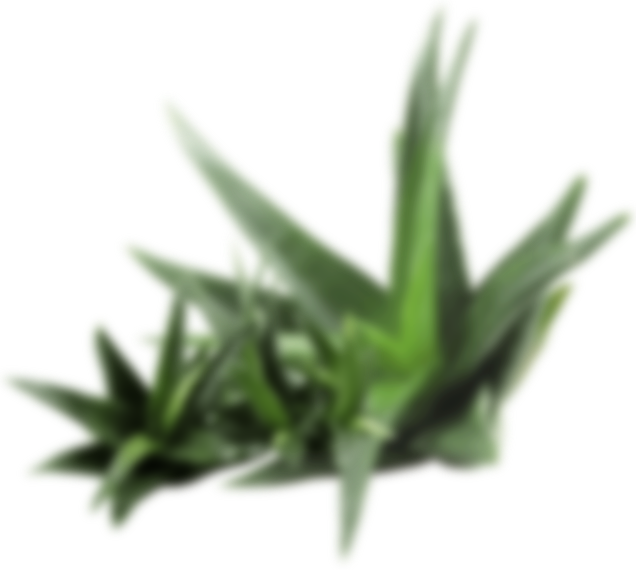 Xưởng Hòa Phát