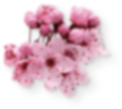 Xưởng Hòa Phát