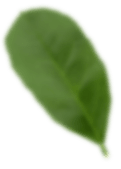 Xưởng Hòa Phát