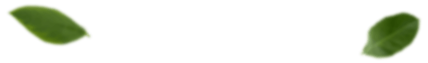 Xưởng Hòa Phát