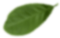 Xưởng Hòa Phát
