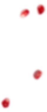 Xưởng Hòa Phát