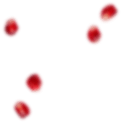 Xưởng Hòa Phát