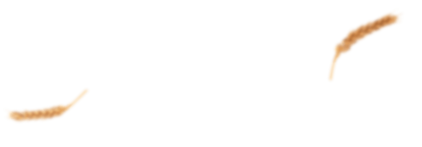 Xưởng Hòa Phát
