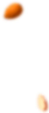 Xưởng Hòa Phát